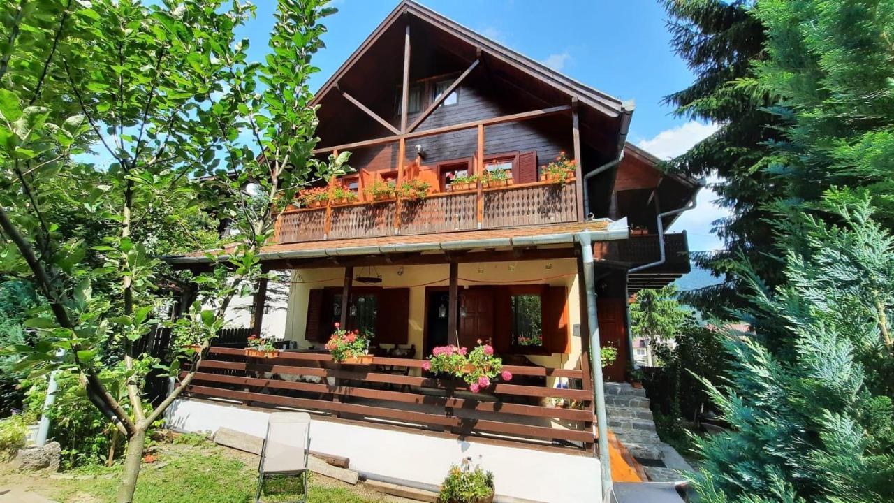 부스테니 Family House 빌라 외부 사진